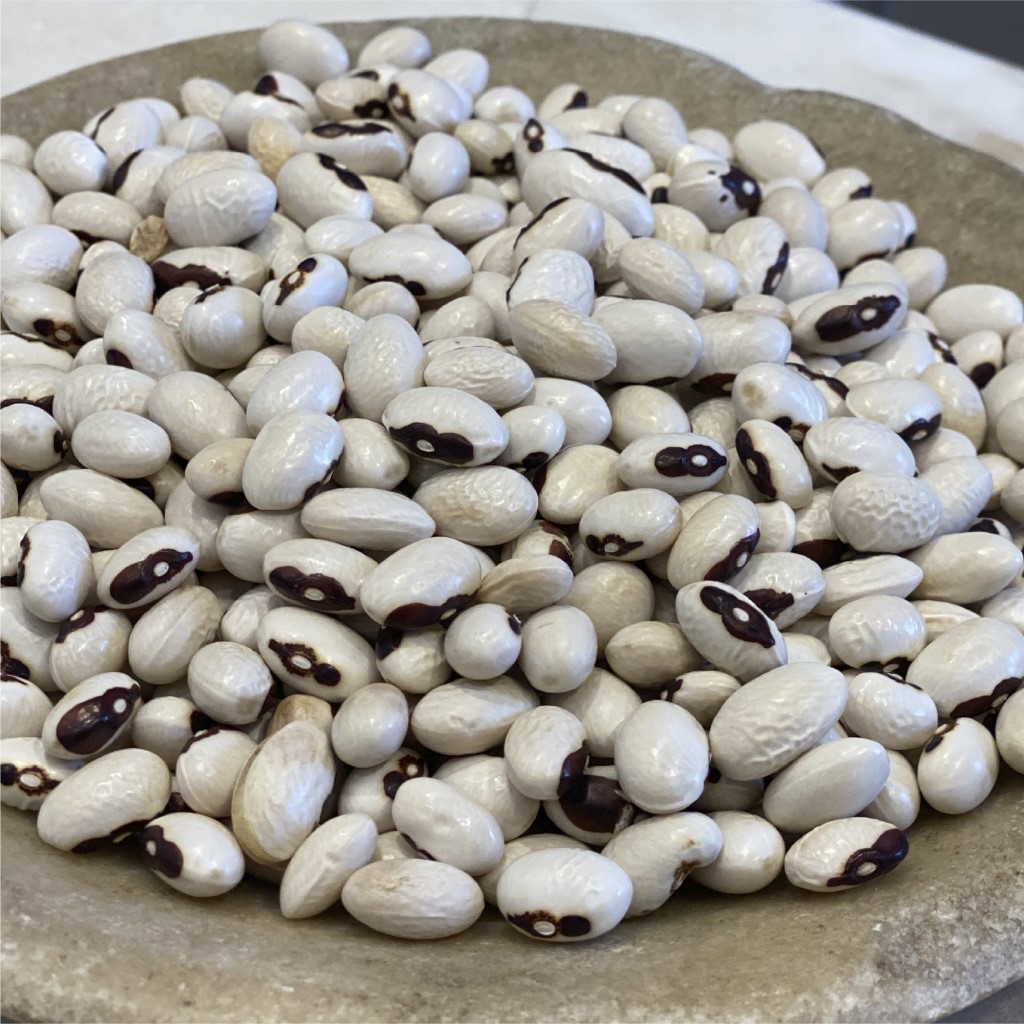 FAGIOLI-b